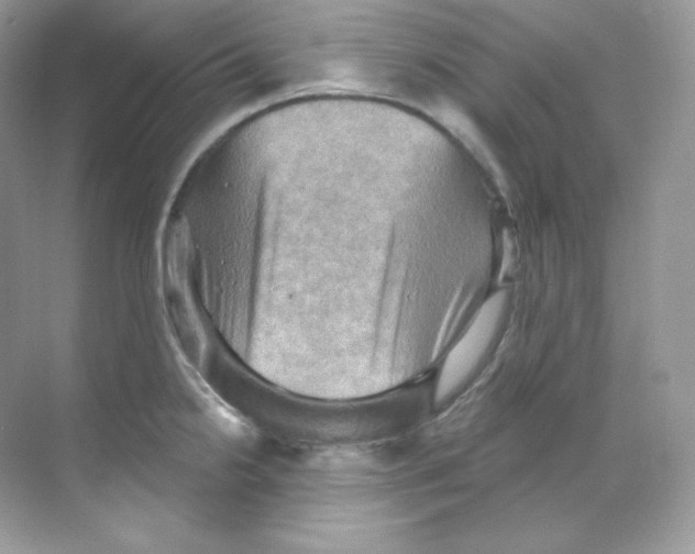 X0000068741238200605192337