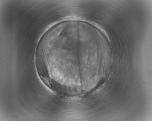 X0000068741239200605192337