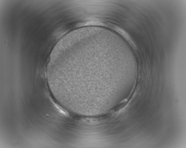 X0000068741241200605192337