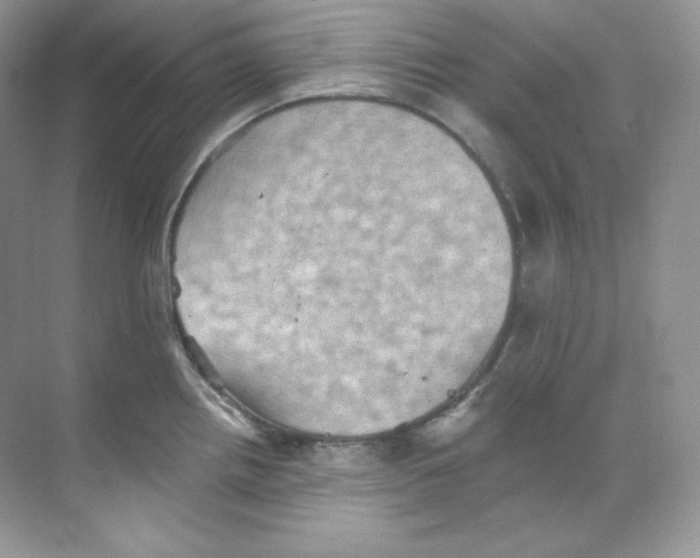 X0000068741242200605192337