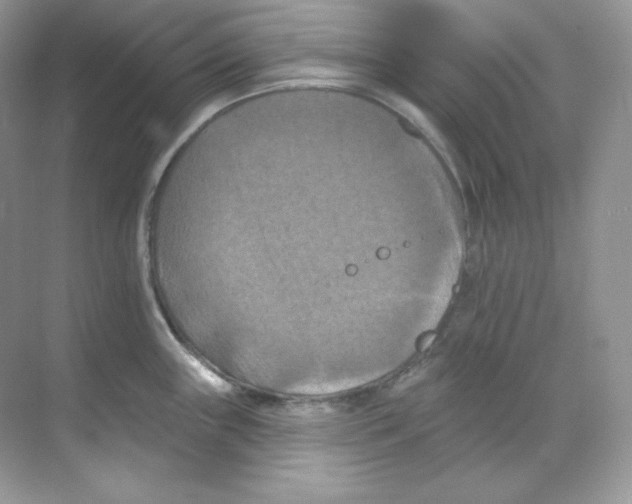 X0000068741243200605192337