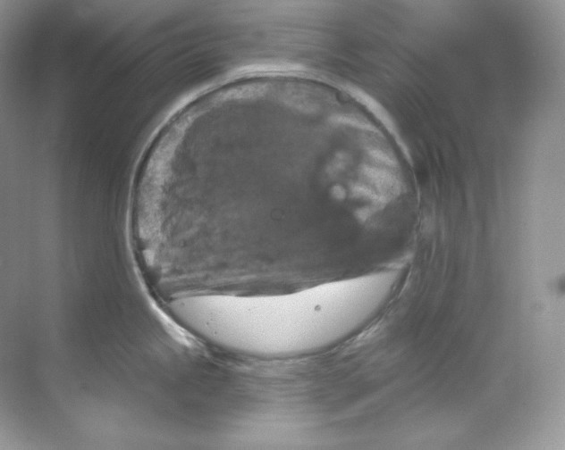 X0000068741245200605192337