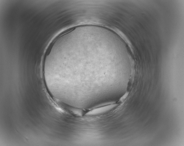 X0000068741246200605192337