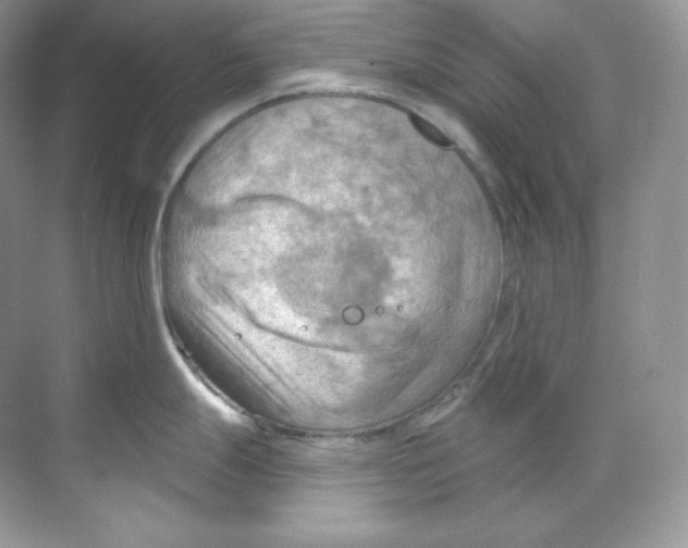 X0000068741247200605192337