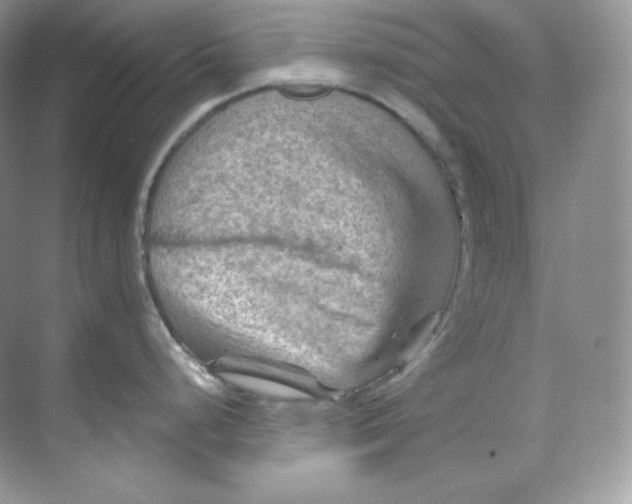 X0000068741248200605192337