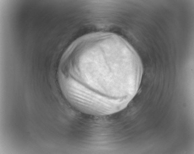 X0000068741249200605192336