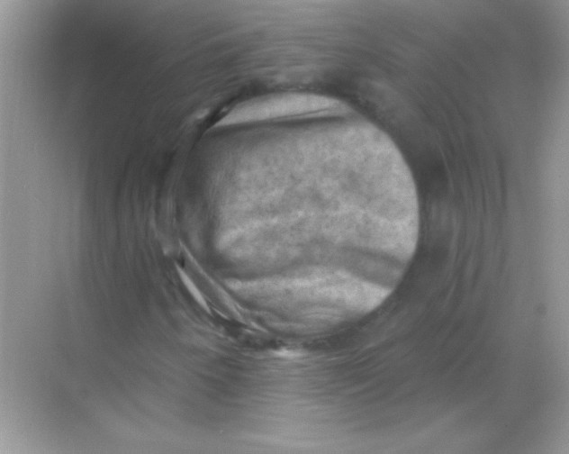 X0000068741250200605192336