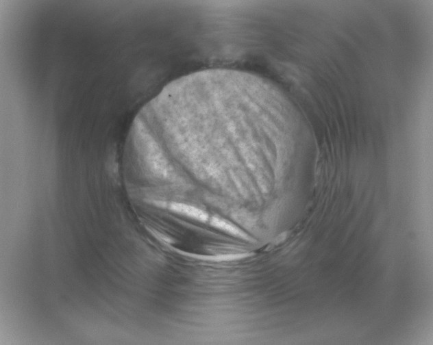 X0000068741252200605192336