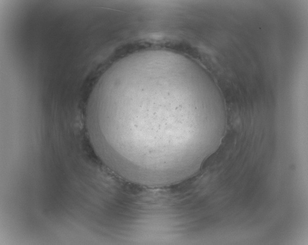 X0000068741253200605192336