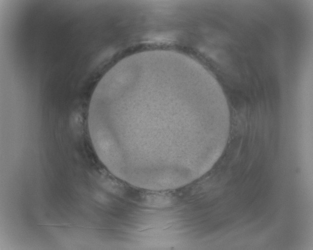 X0000068741254200605192336