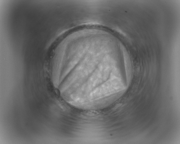 X0000068741255200605192336