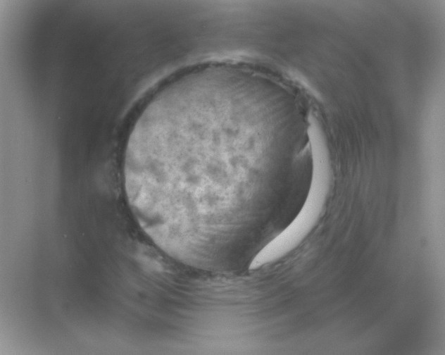 X0000068741256200605192336