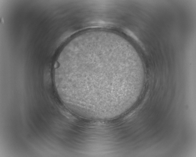 X0000068741259200605192336