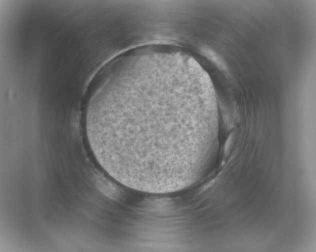 X0000068741260200605192336