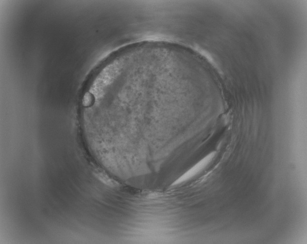 X0000068741263200605192336