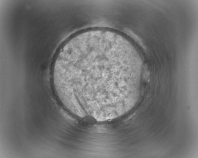 X0000068741264200605192336