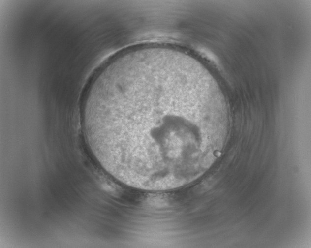 X0000068741267200605192336