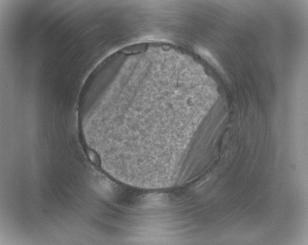 X0000068741268200605192336