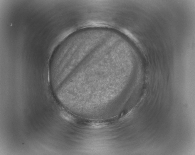 X0000068741269200605192336