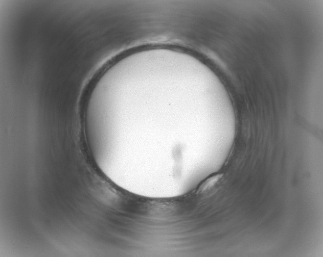 X0000068741270200605192336