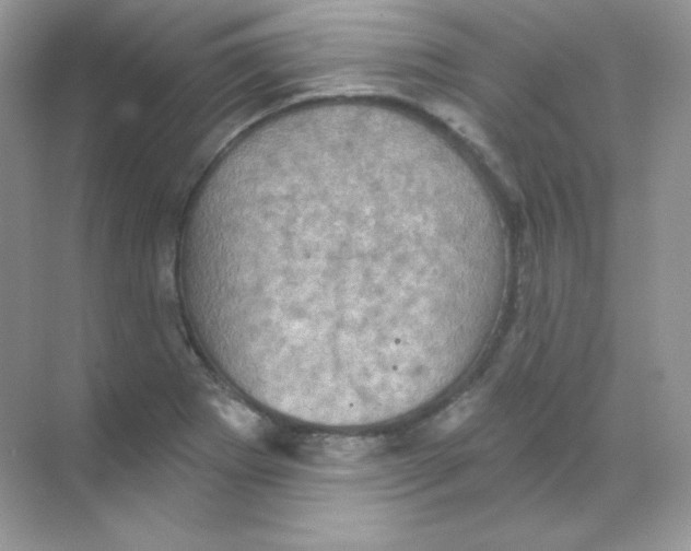 X0000068741273200605192336