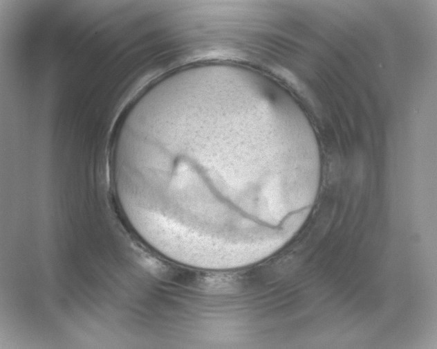 X0000068741274200605192336