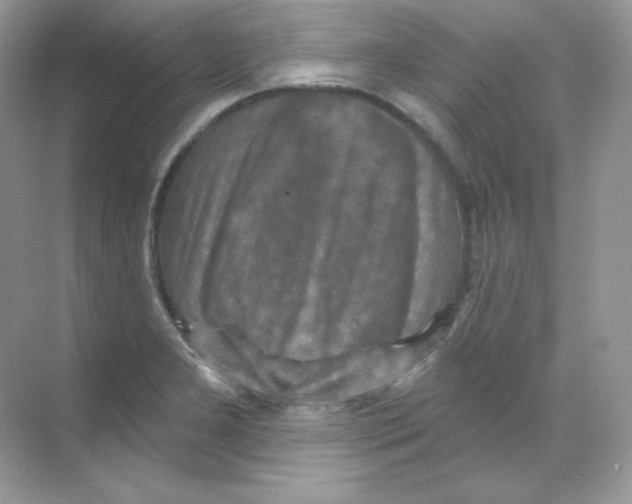 X0000068741277200605192335