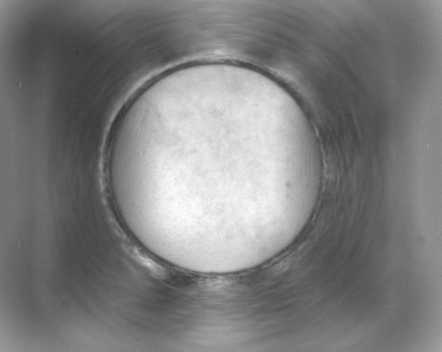 X0000068741278200605192335