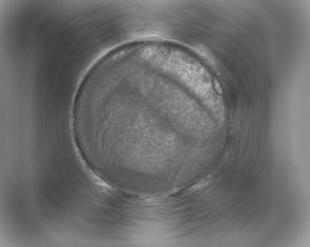 X0000068741279200605192335