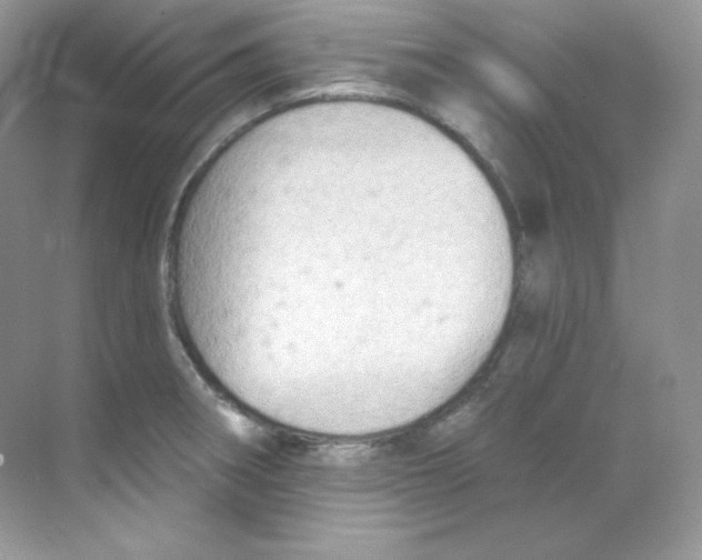 X0000068741282200605192335