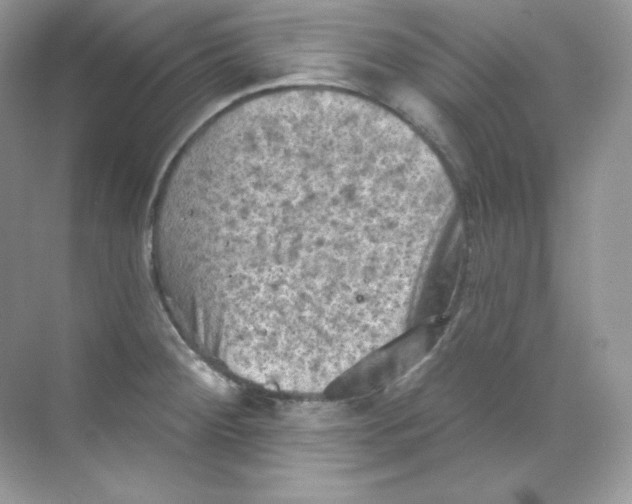 X0000068741284200605192335