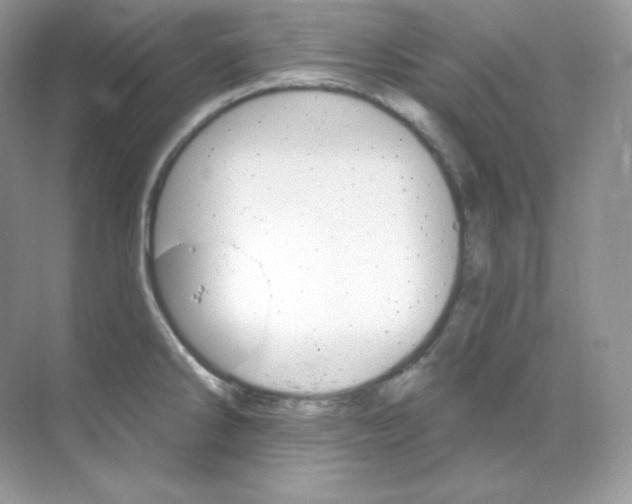 X0000068741286200605192335