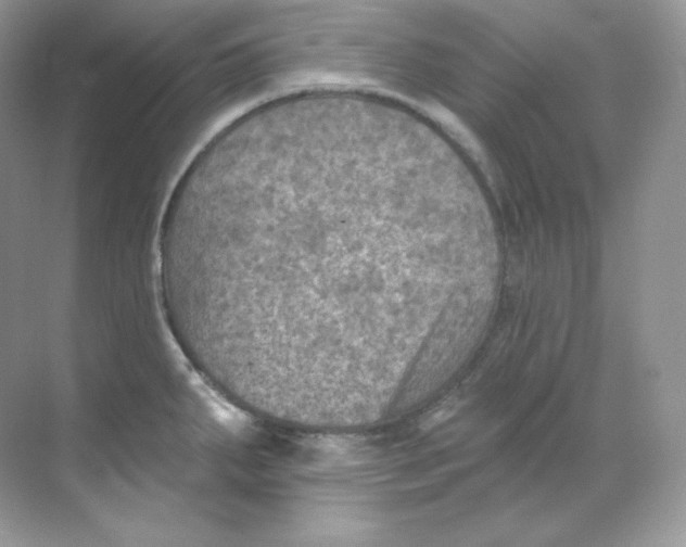 X0000068741287200605192335