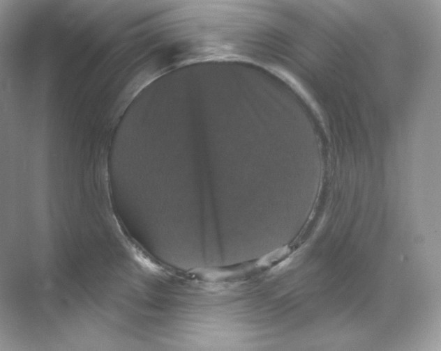 X0000068741289200605192335