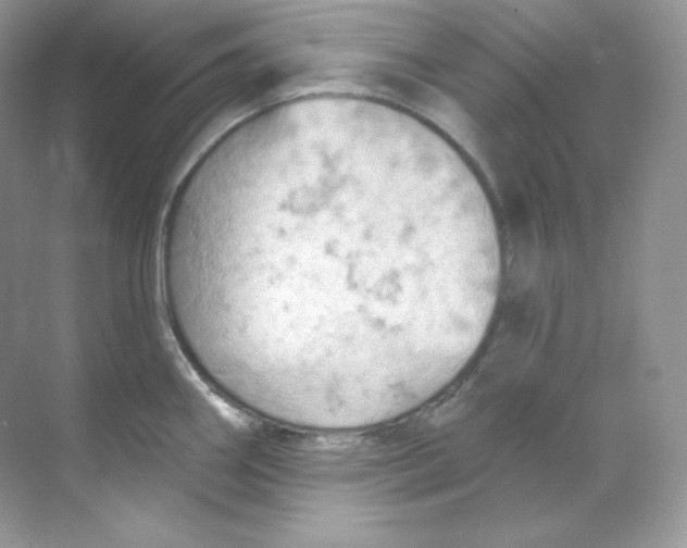 X0000068741290200605192335