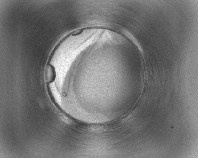 X0000068741291200605192335