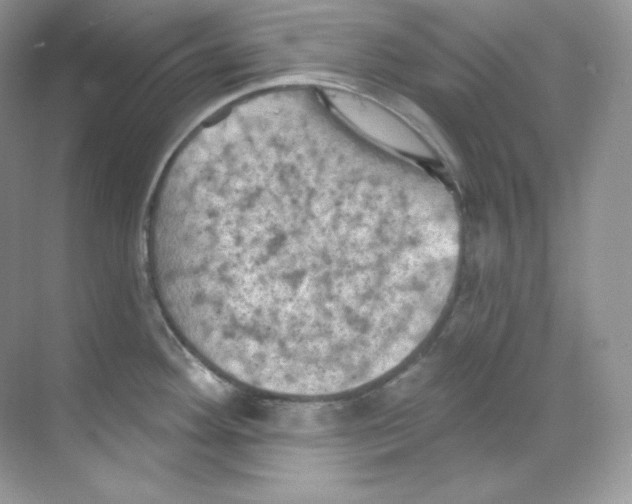 X0000068741292200605192335