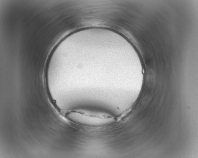 X0000068741293200605192335