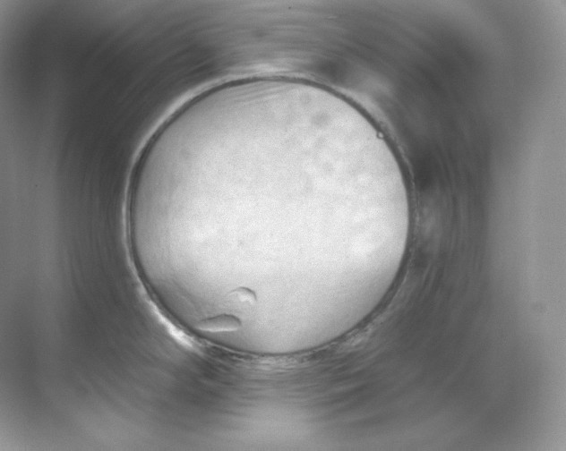 X0000068741294200605192335