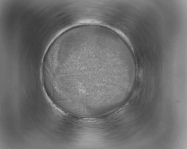 X0000068741295200605192335