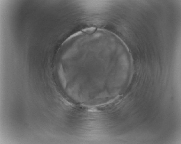 X0000068741297200605192334