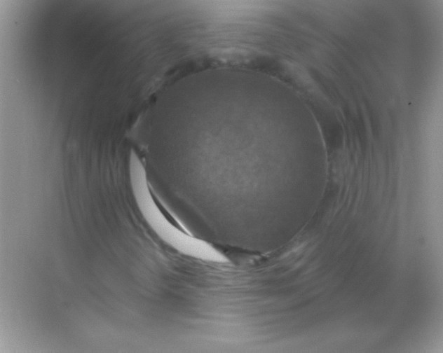 X0000068741298200605192334