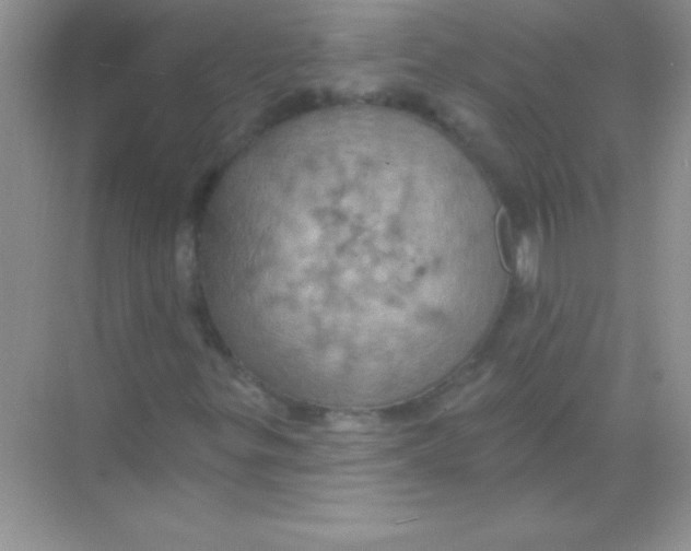 X0000068741299200605192334