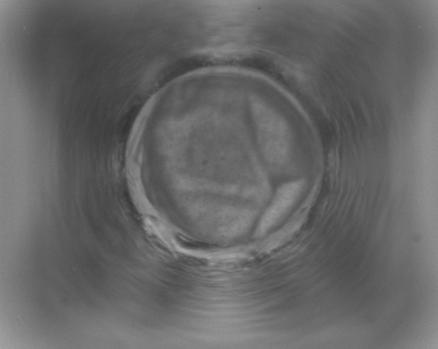 X0000068741300200605192334