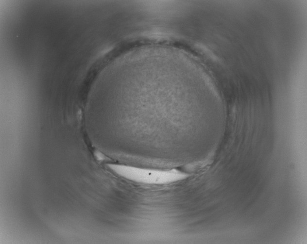 X0000068741302200605192334