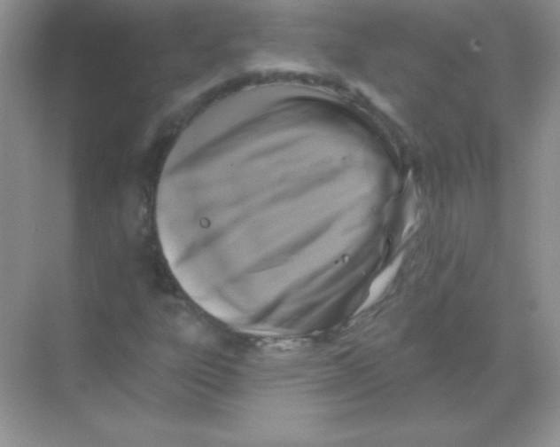 X0000068741303200605192334