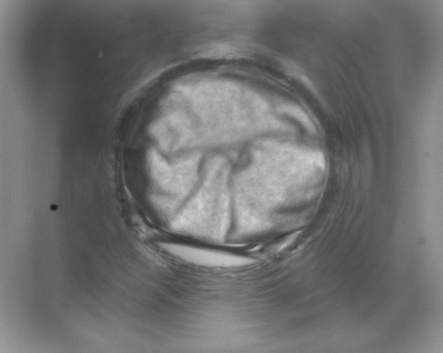 X0000068741304200605192334