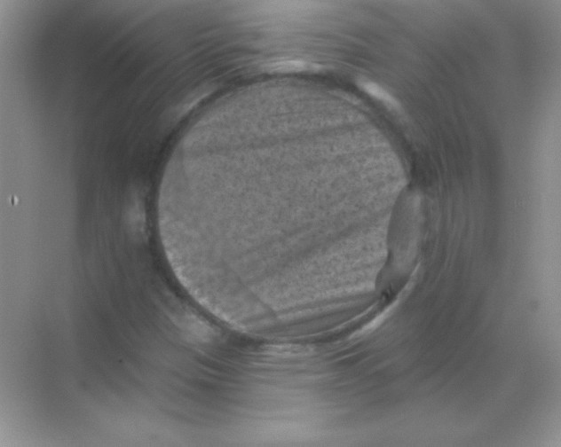 X0000068741305200605192334