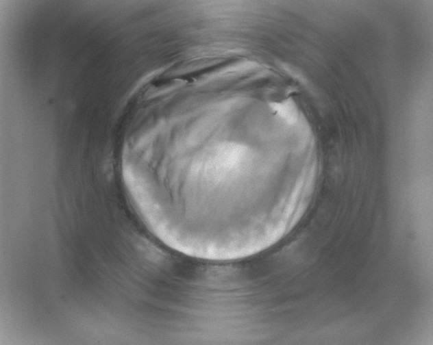 X0000068741306200605192334