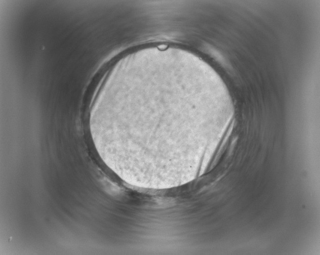 X0000068741308200605192335